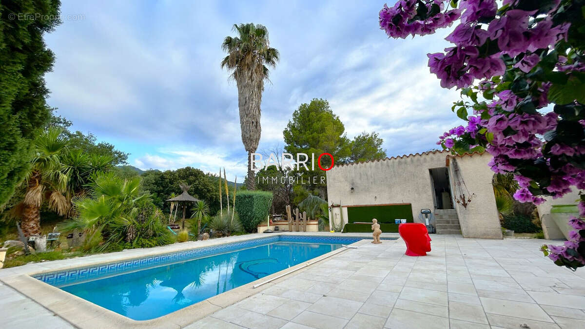 Maison à MONTESQUIEU-DES-ALBERES