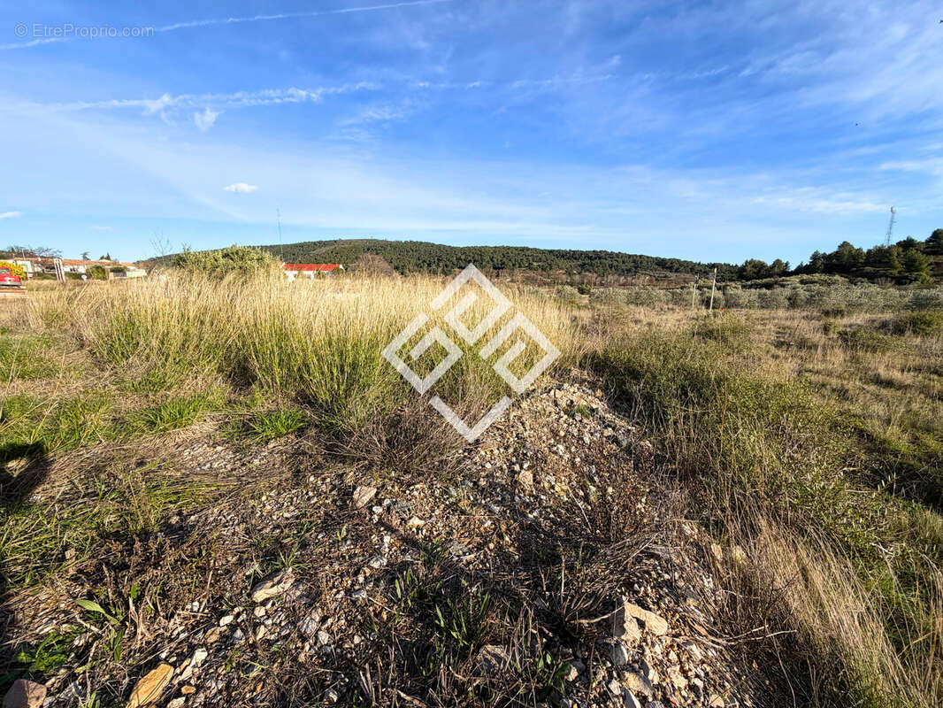 Terrain à BIZE-MINERVOIS