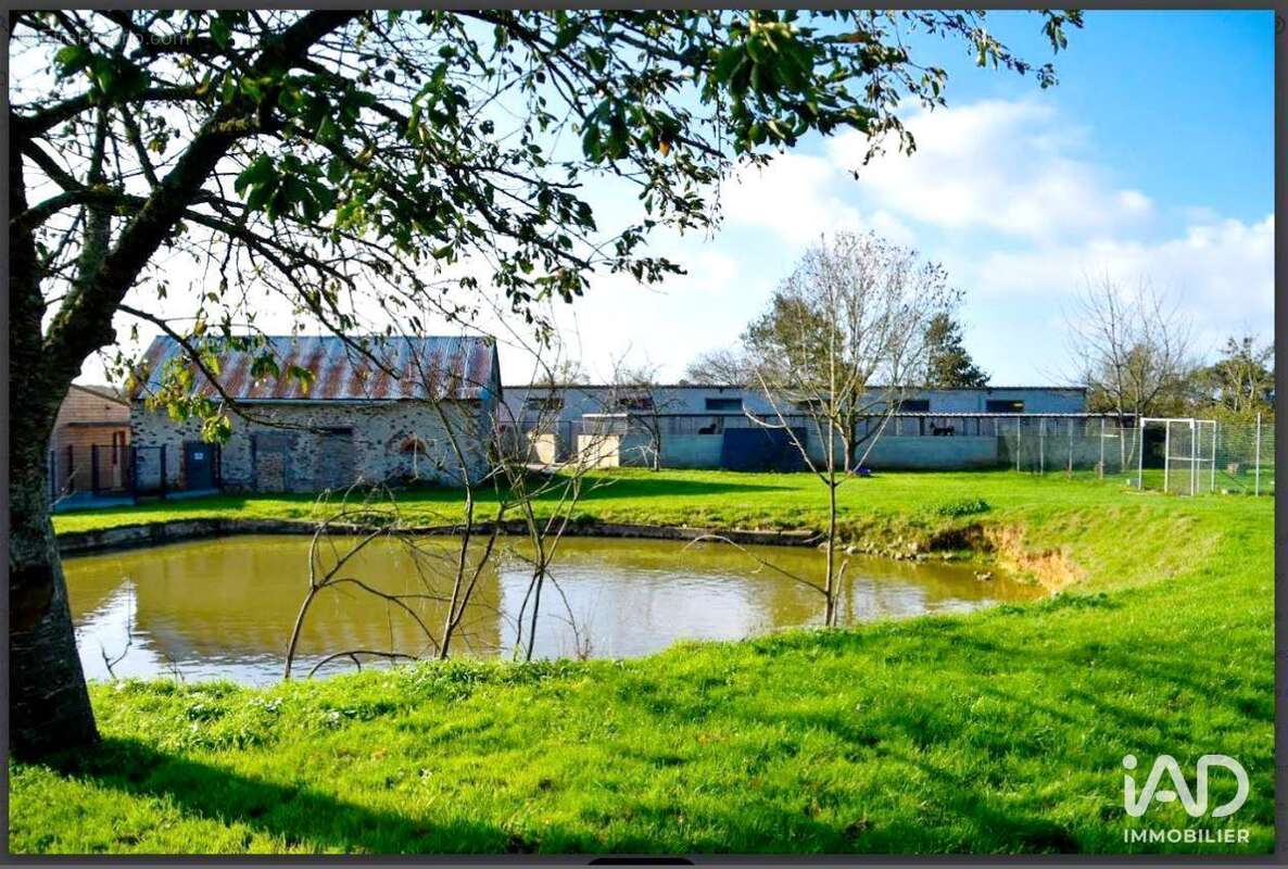 Photo 3 - Commerce à CHATEAU-GONTIER