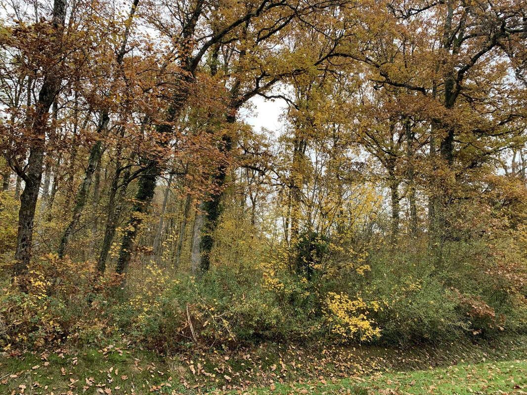 A  proximite des etangs bazoches-sur-le-betz - photo 4