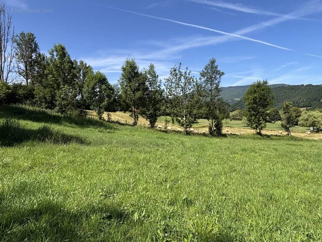 Terrain à SAINT-MARTIN-EN-VERCORS