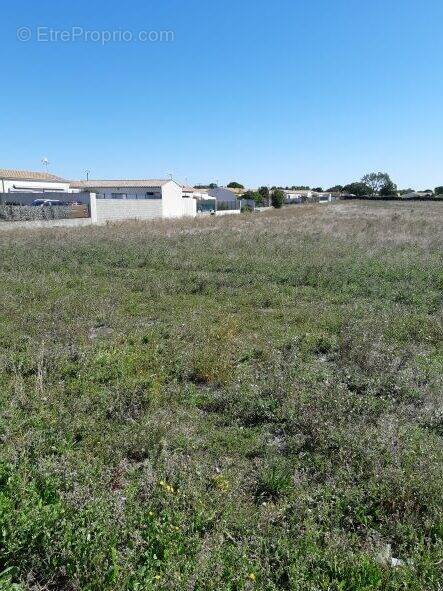 Terrain à BOURGNEUF-EN-RETZ