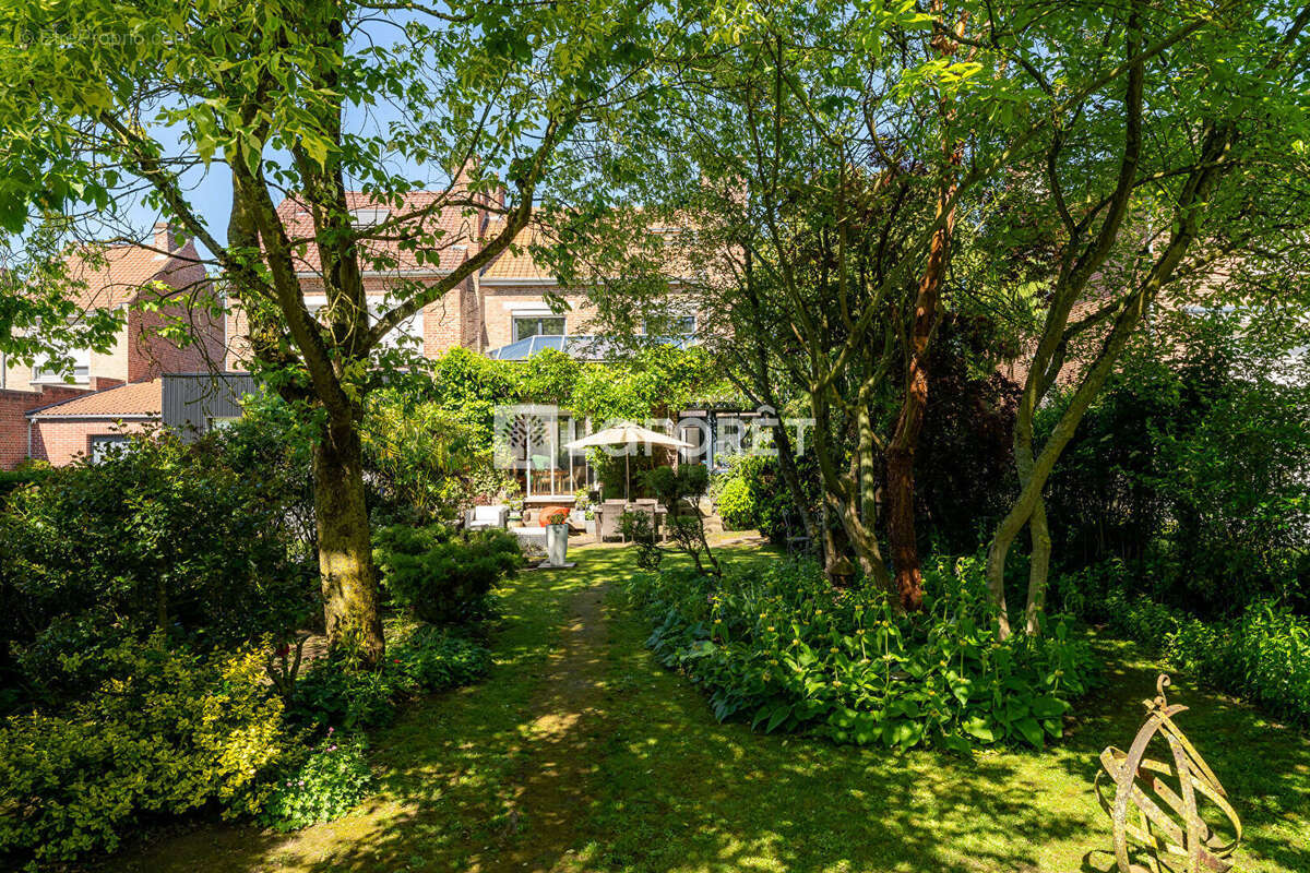 Maison à LAMBRES-LEZ-DOUAI