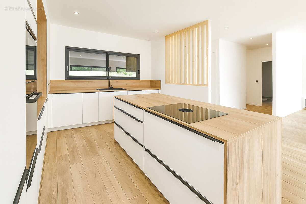 Maison à SAINT-SORLIN-EN-VALLOIRE