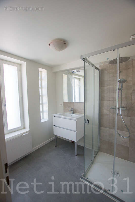 centre Puylaurens ensemble immobilier avec terrain constructible - photo 3