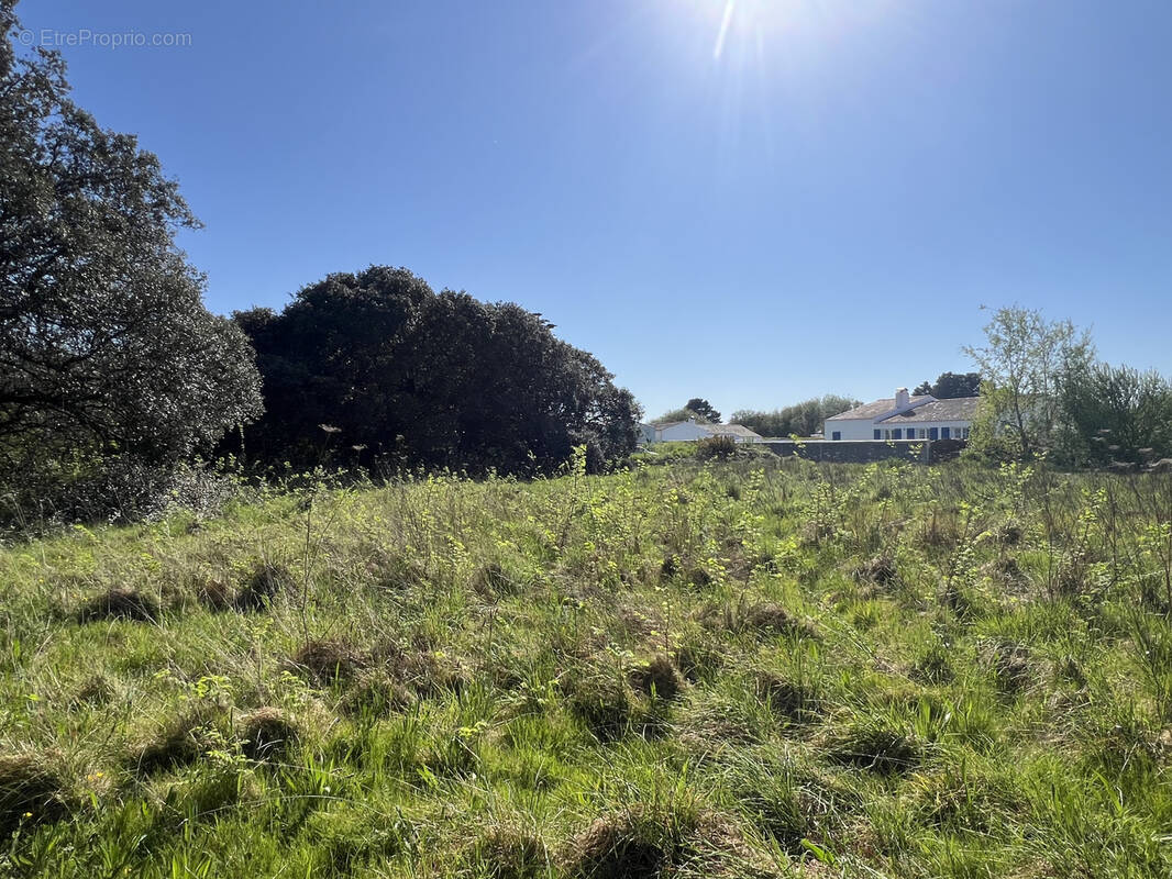 Terrain à L&#039;ILE-D&#039;YEU