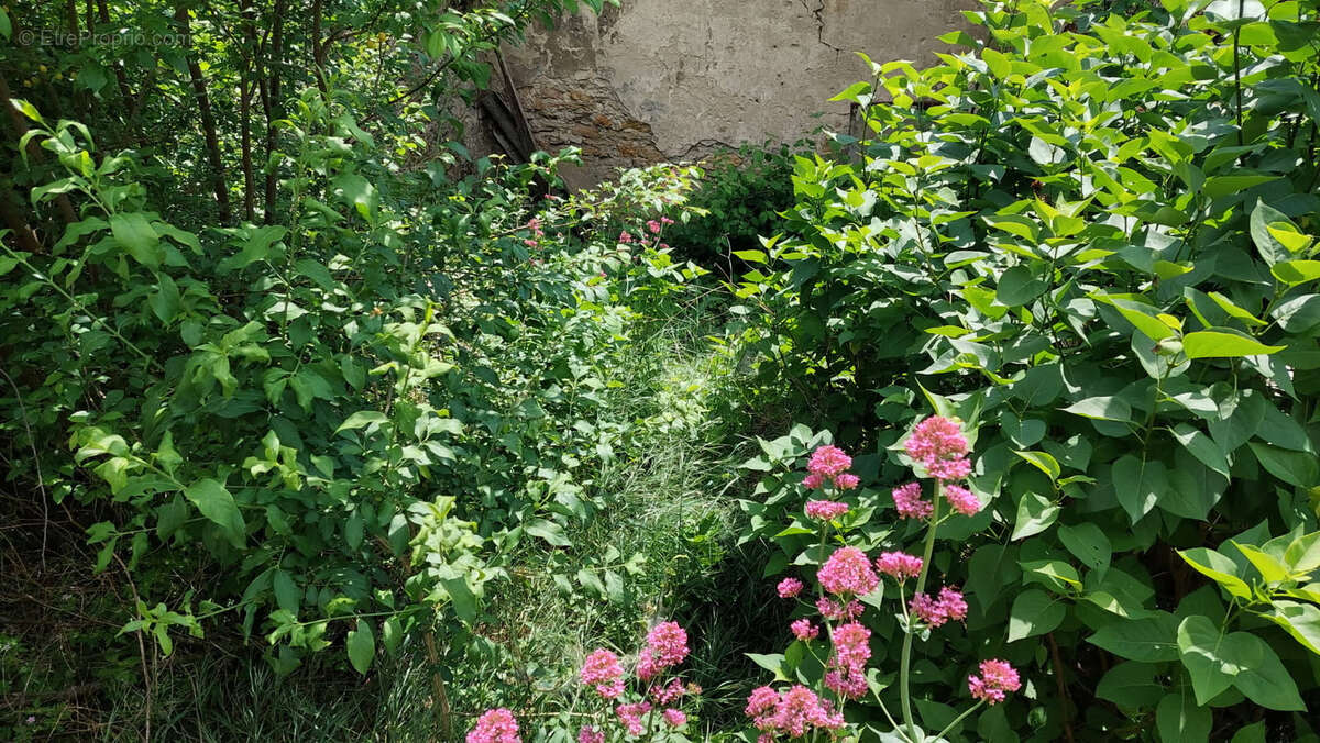 Maison à SAINT-SORLIN-EN-BUGEY