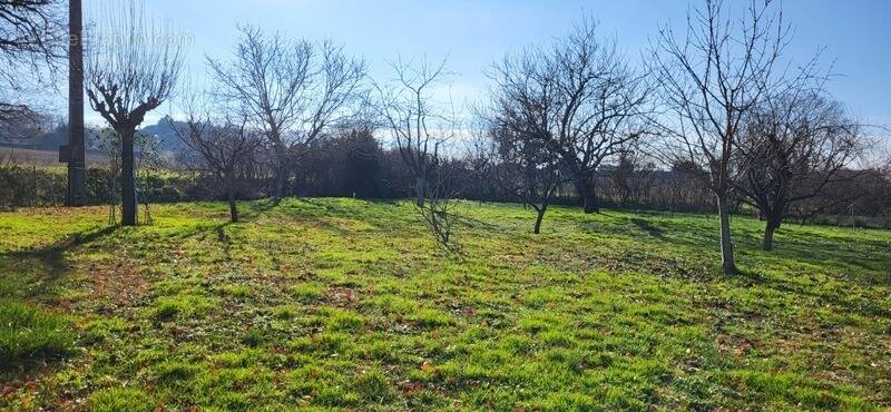 Terrain à L'ISLE-JOURDAIN