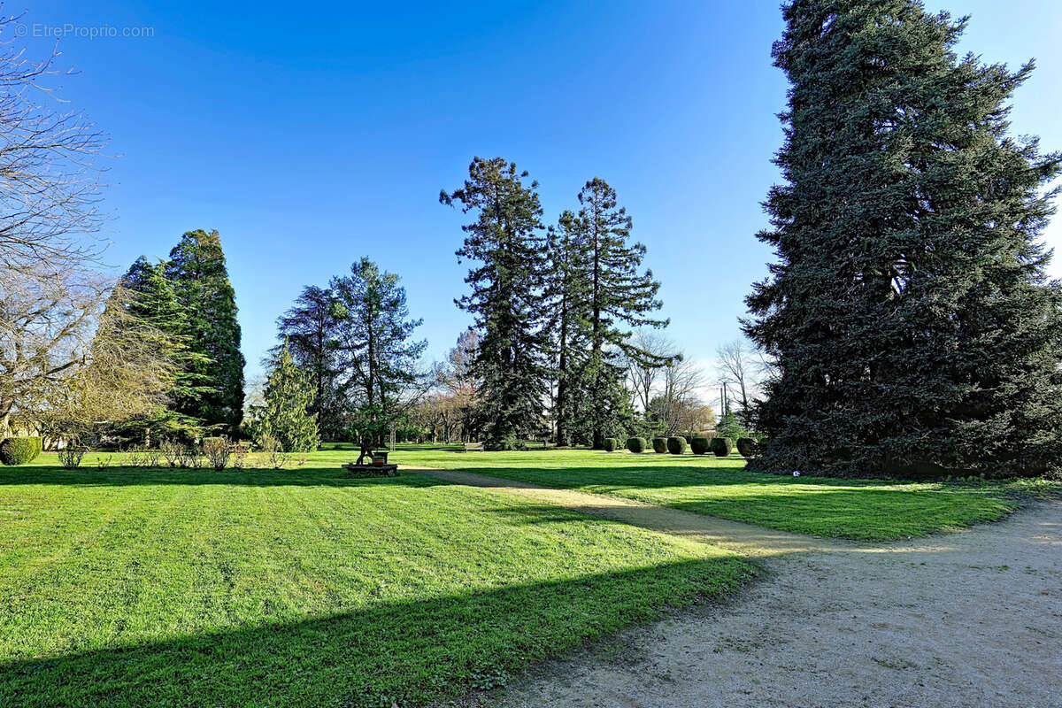 Maison à FONTEVRAUD-L'ABBAYE
