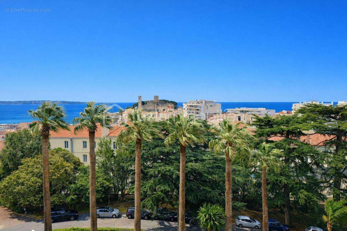 Cannes stanislas - appartement 2 pieces 61m² - vue mer panoramique - 5 min centre ville - photo 2