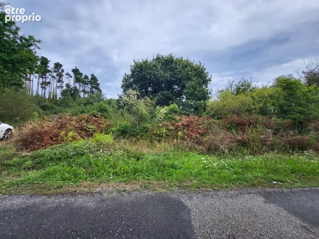 Terrain non constructible à vendre  CROZON (29) - photo 3