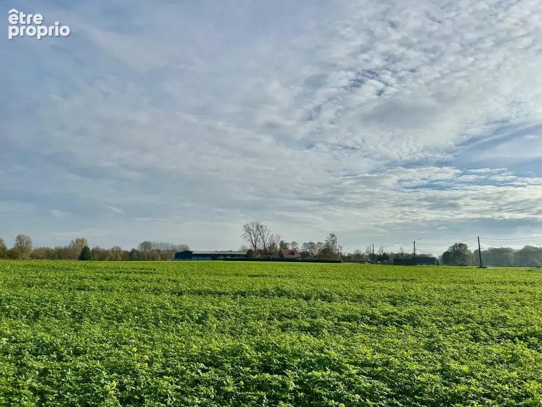 Maison 4 pièces 171 m² à vendre à Verlinghem (59237) - photo 2