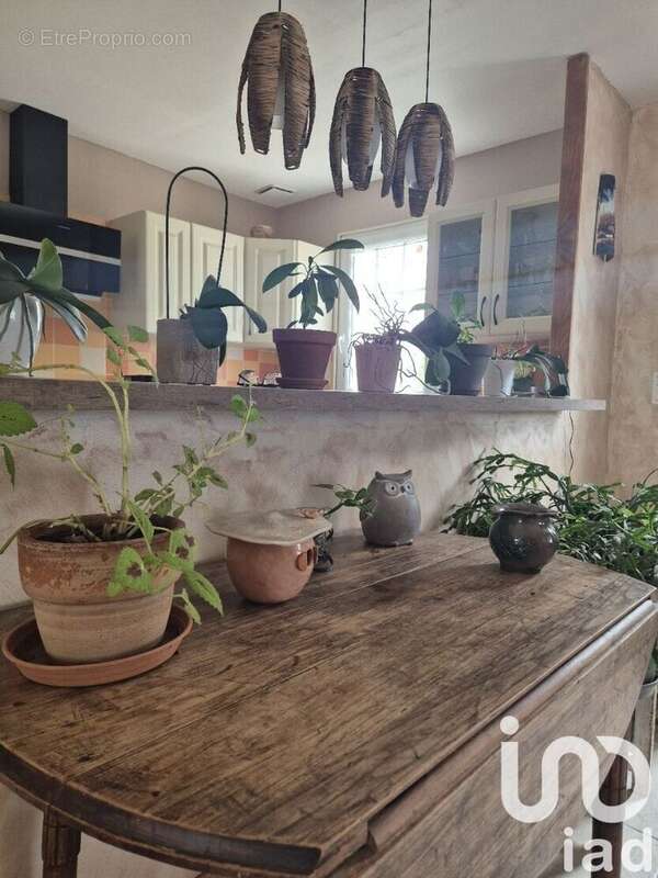 Photo 3 - Maison à SAINT-VINCENT-SUR-JARD