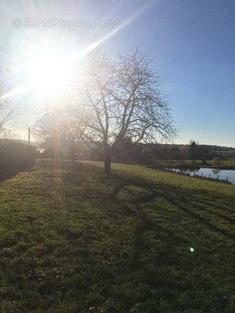 Terrain à LANOUAILLE