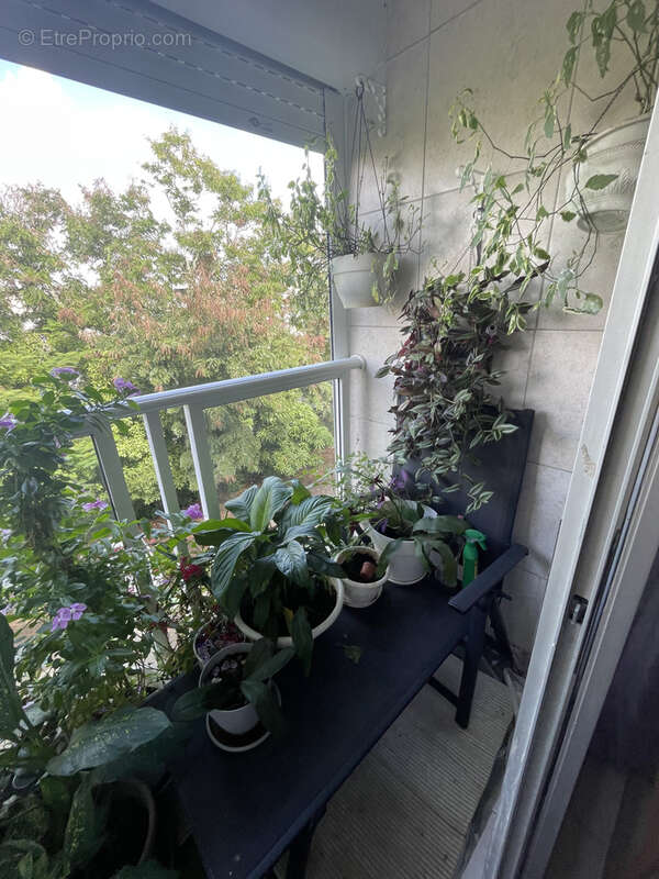 Appartement à LES ABYMES