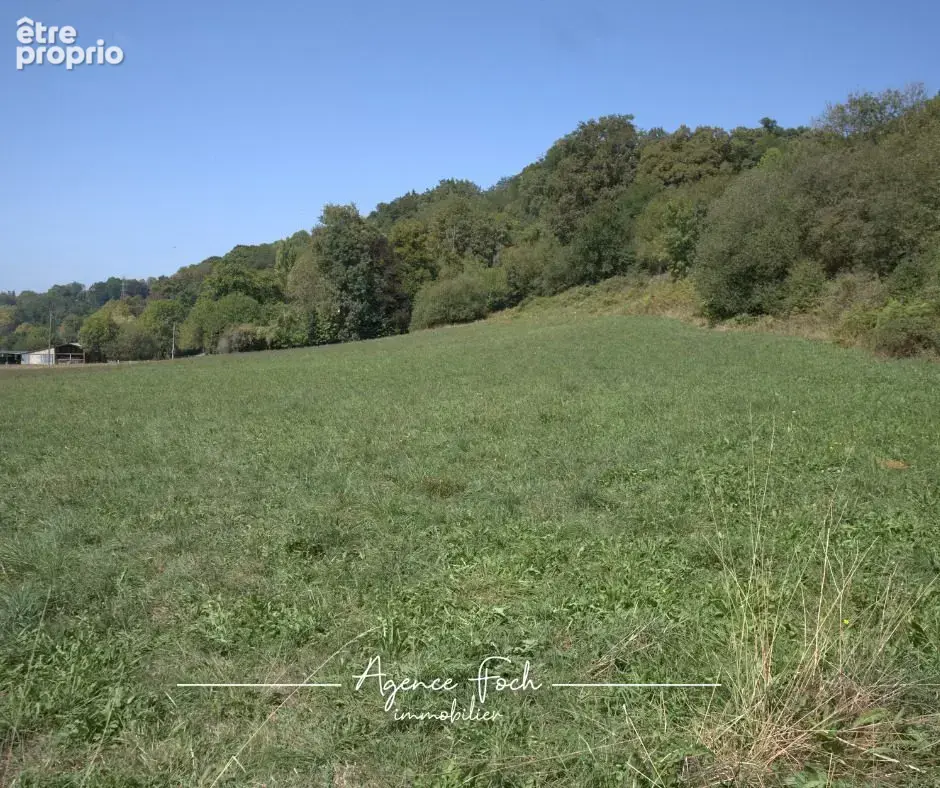 Terrain 9 841 m² à vendre à Bagneres-De-Bigorre (65200) - photo 3