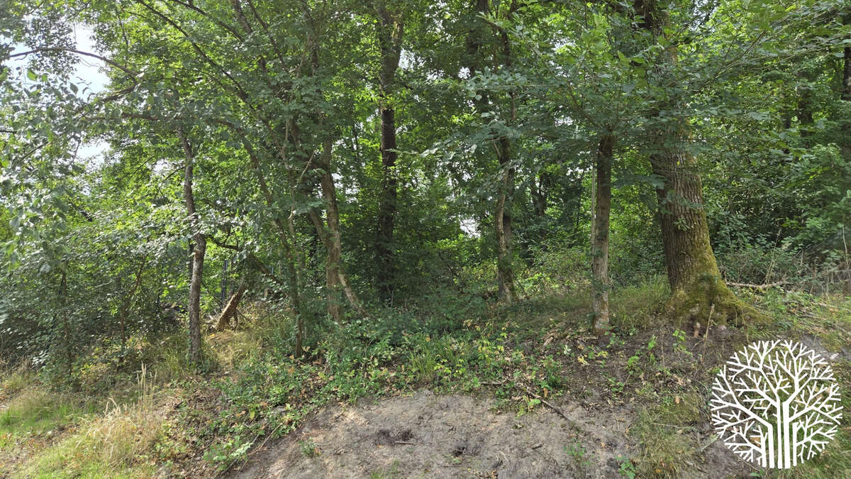 Maison à NOISY-SUR-ECOLE