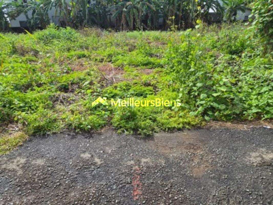 ST. BENOIT (La confiance), 3 parcelles de terrains à bâtir de 300 m² (zone UB) - photo 4