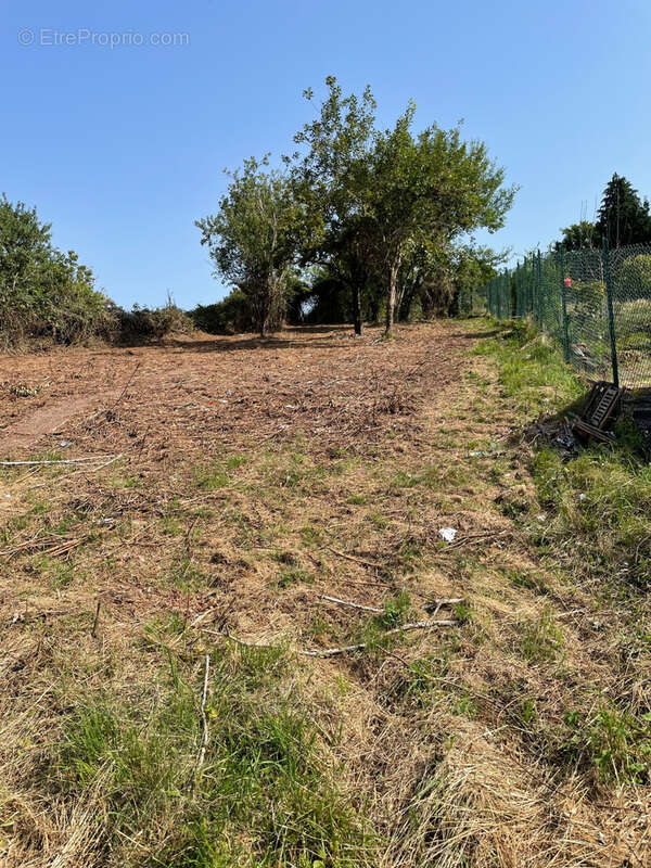 Terrain à HASELBOURG