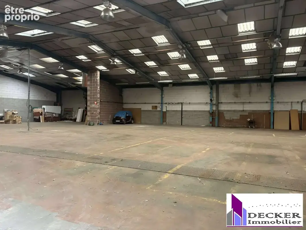 Commerce 4000 m² à Steinbourg  - photo 2