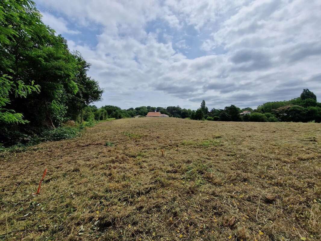 Terrain à HABAS