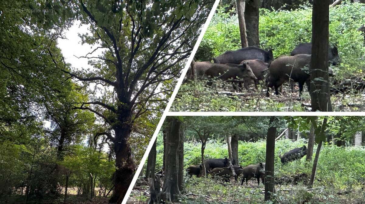 Terrain à HEUBECOURT-HARICOURT