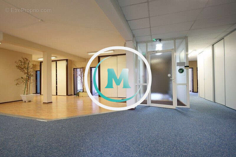 Commerce à MONTAUBAN