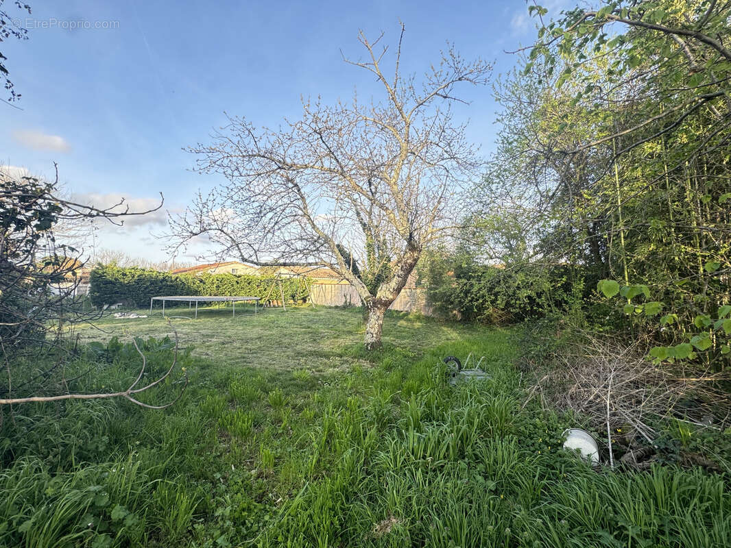 Terrain à CUGNAUX