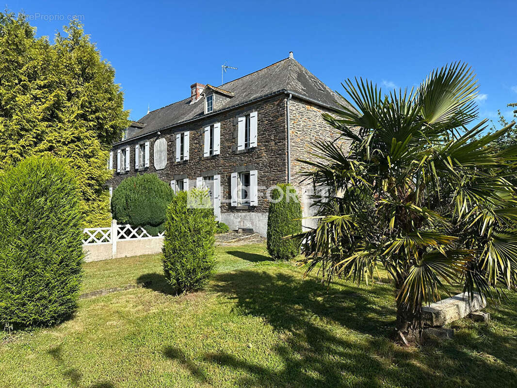 Maison à SAINT-NICOLAS-DU-TERTRE
