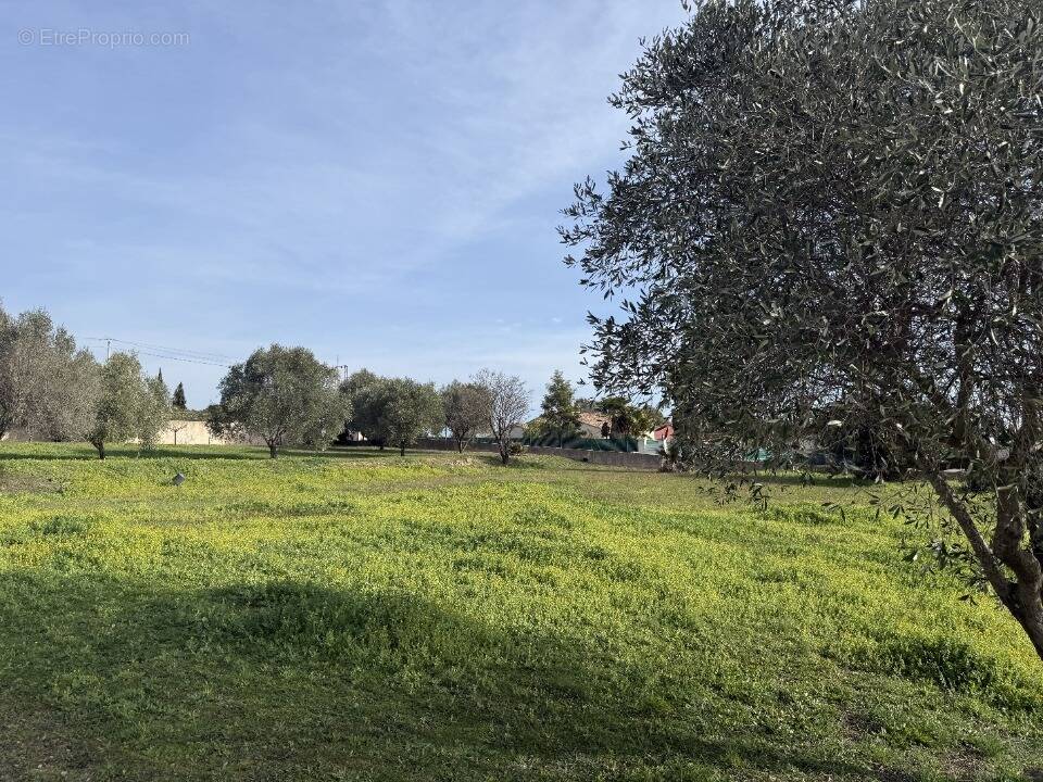 Terrain à ROQUEBRUNE-SUR-ARGENS