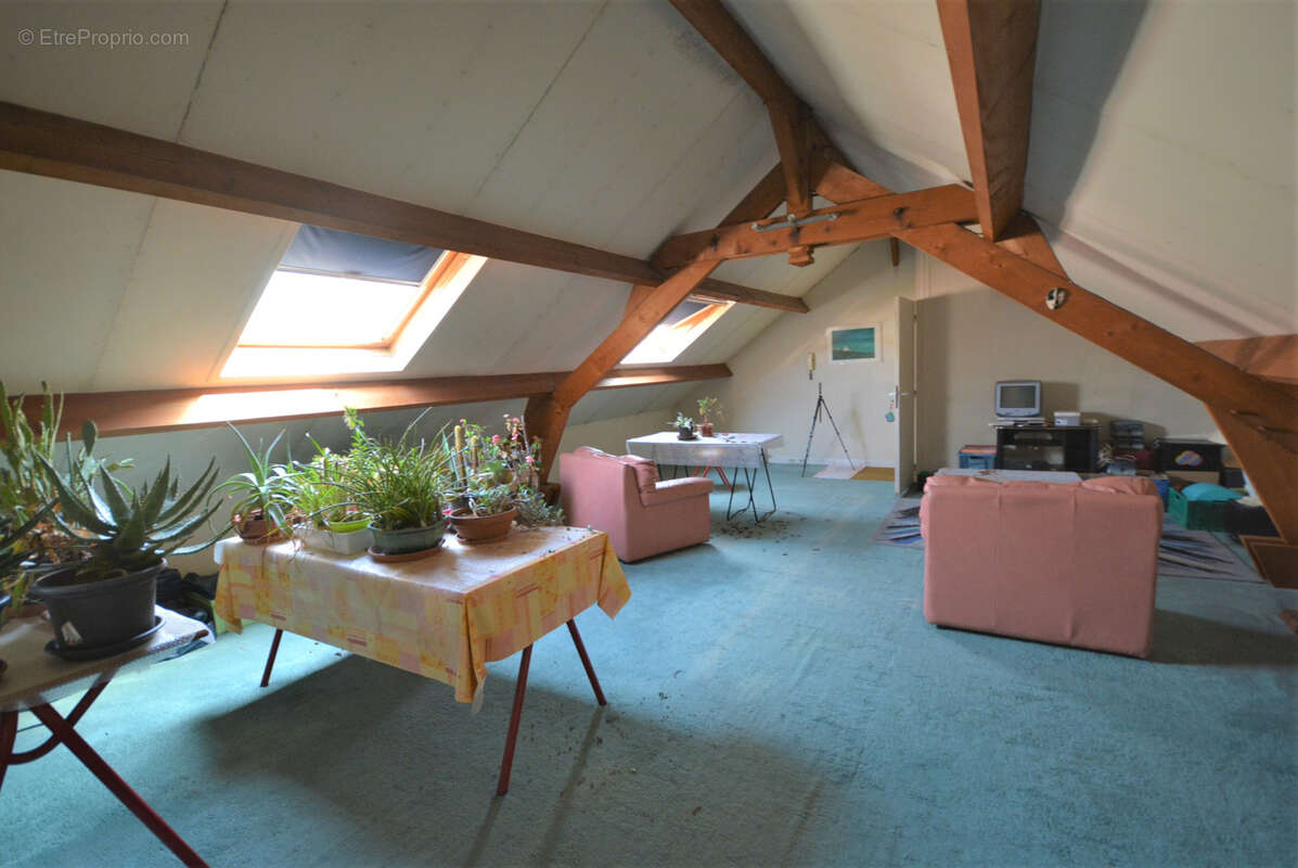 Maison à MAISONS-ALFORT