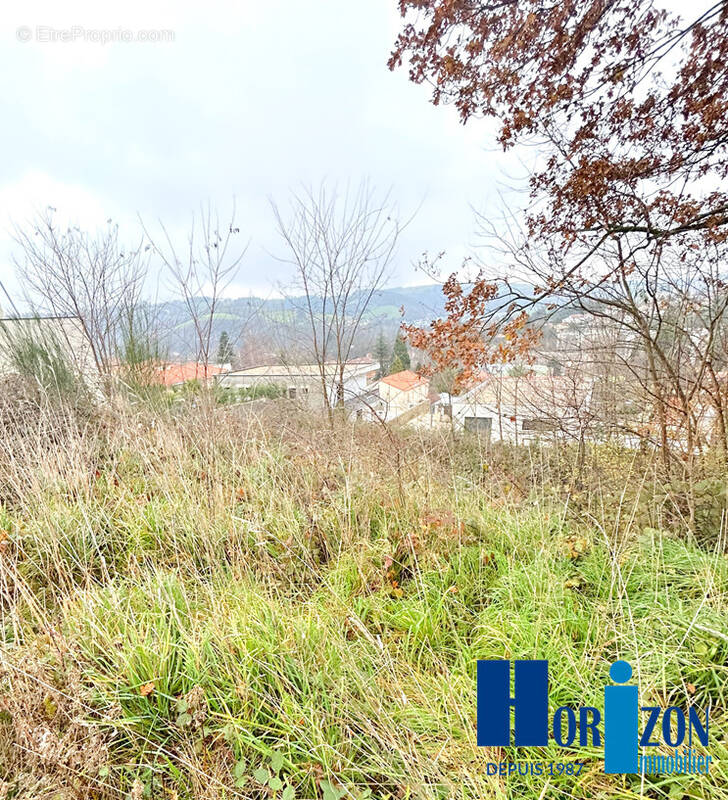 Terrain à LE CHAMBON-FEUGEROLLES