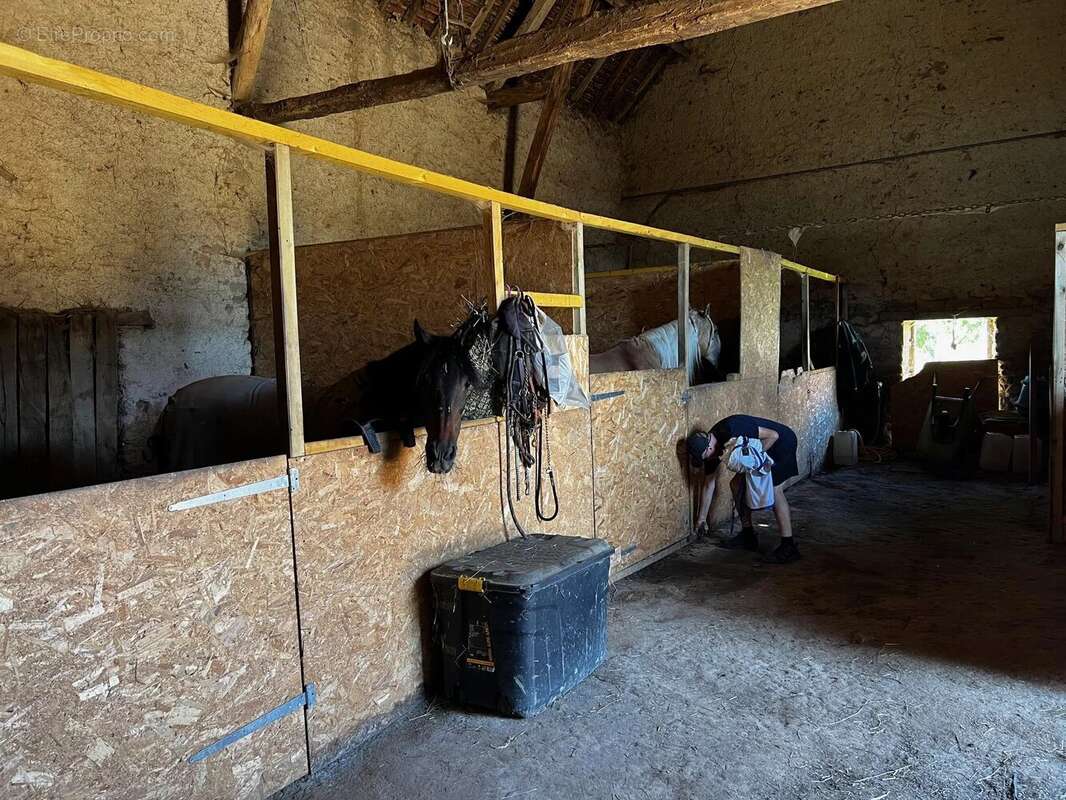 Propriété équestre de trois chambres - photo 19