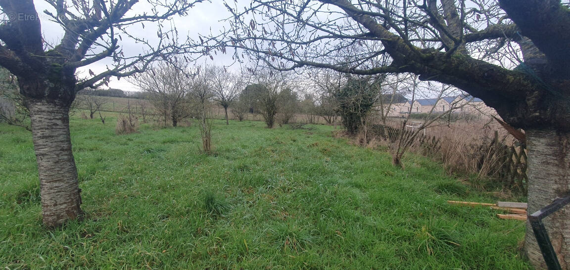 Terrain à ROCHEFORT-SUR-LOIRE