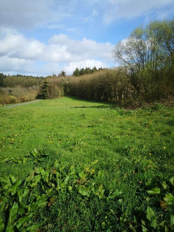 Terrain à PLOURAY