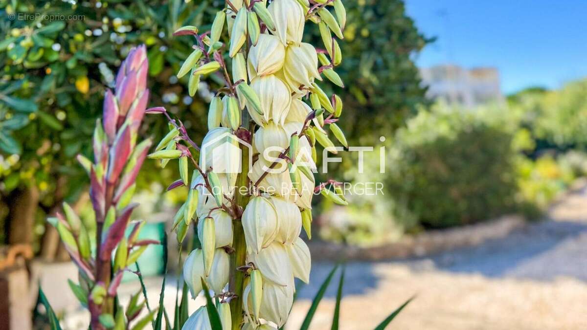Photo 4 - Maison à HYERES