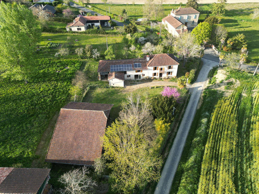 Maison à Vendre en Viager occupé - photo 9