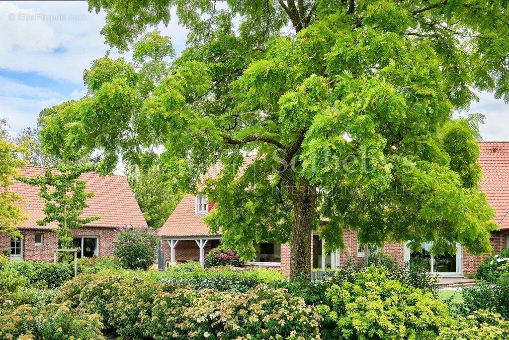 Maison à RADINGHEM-EN-WEPPES