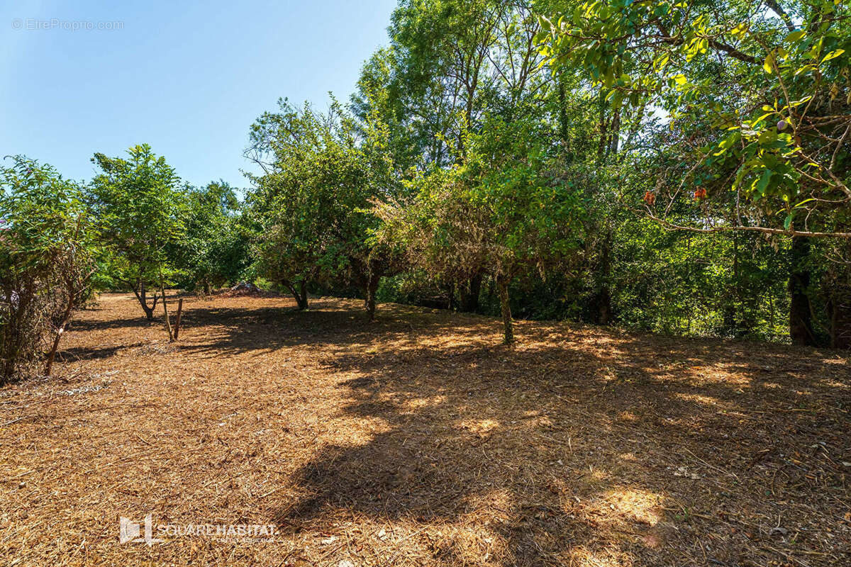 Terrain à NUITS-SAINT-GEORGES