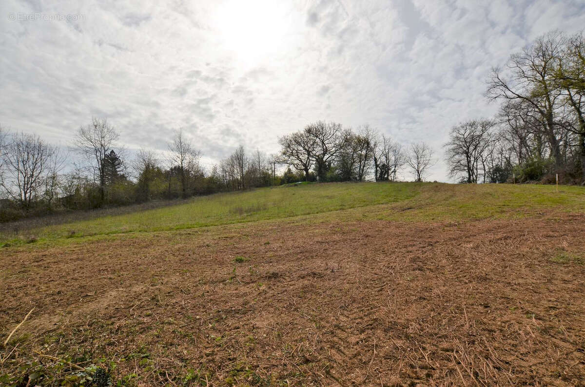 Terrain à MAULICHERES