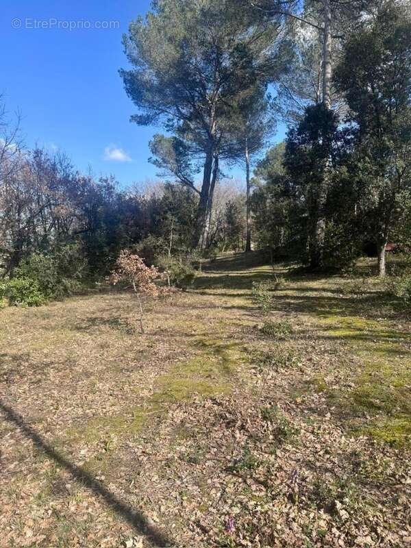 Terrain à LA ROQUE-D'ANTHERON