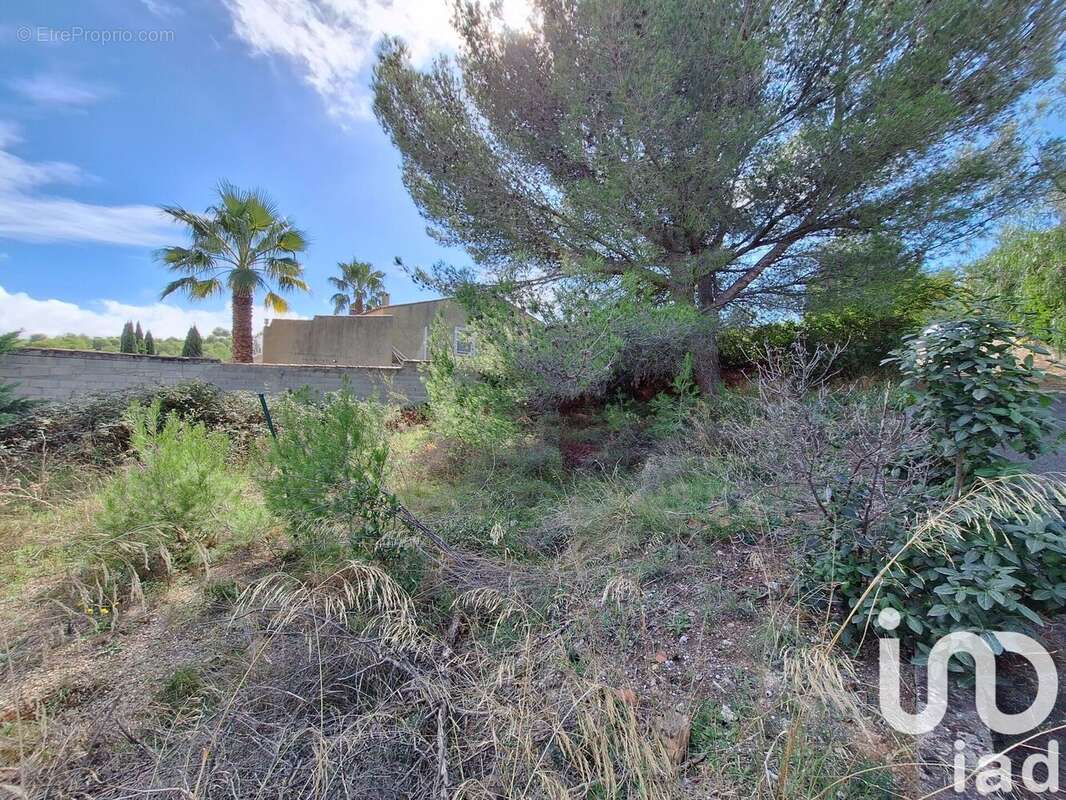 Photo 2 - Terrain à MARTIGUES