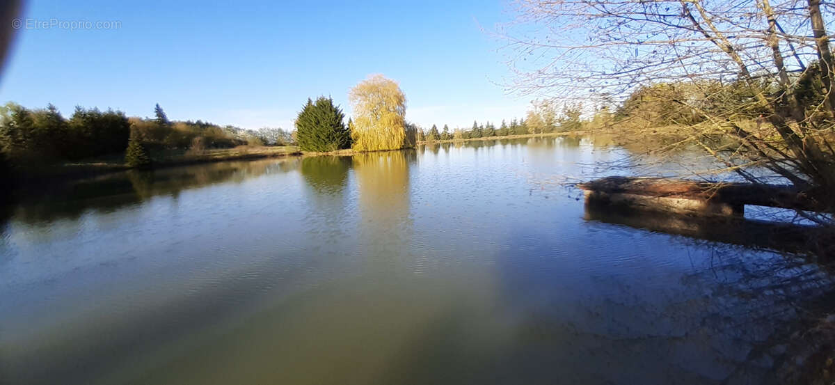 Terrain à CHATEAU-SALINS