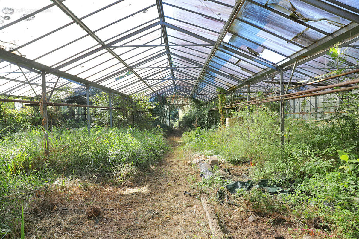 Terrain à SAINT-GEORGES-DE-DIDONNE