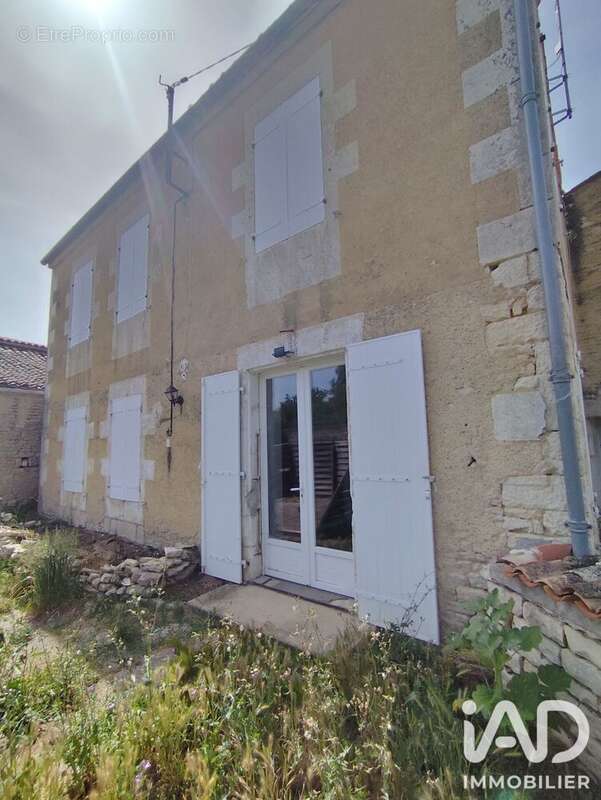 Photo 3