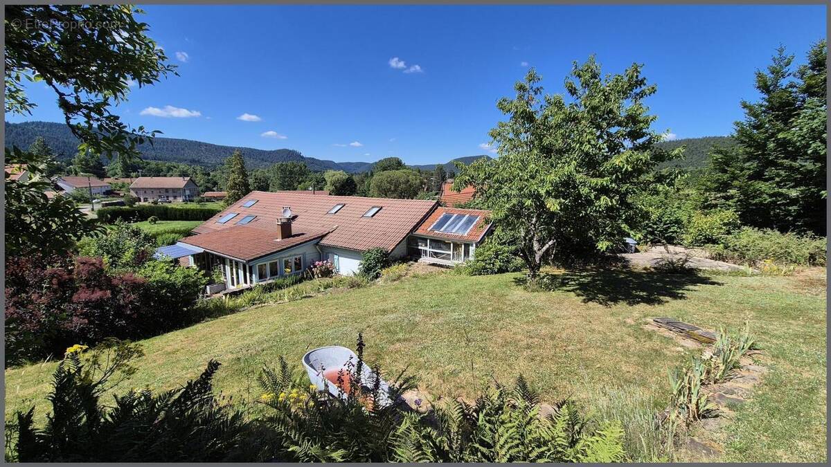 Photo 1 - Maison à TAINTRUX