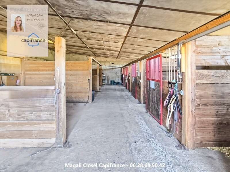 Maison à SAINT-GERMAIN-DU-BOIS