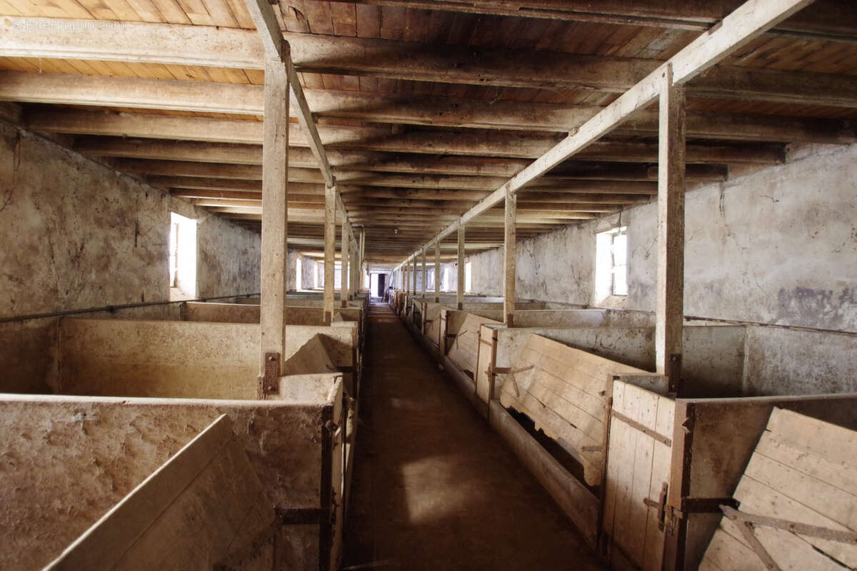 Maison à AIGREFEUILLE-D&#039;AUNIS