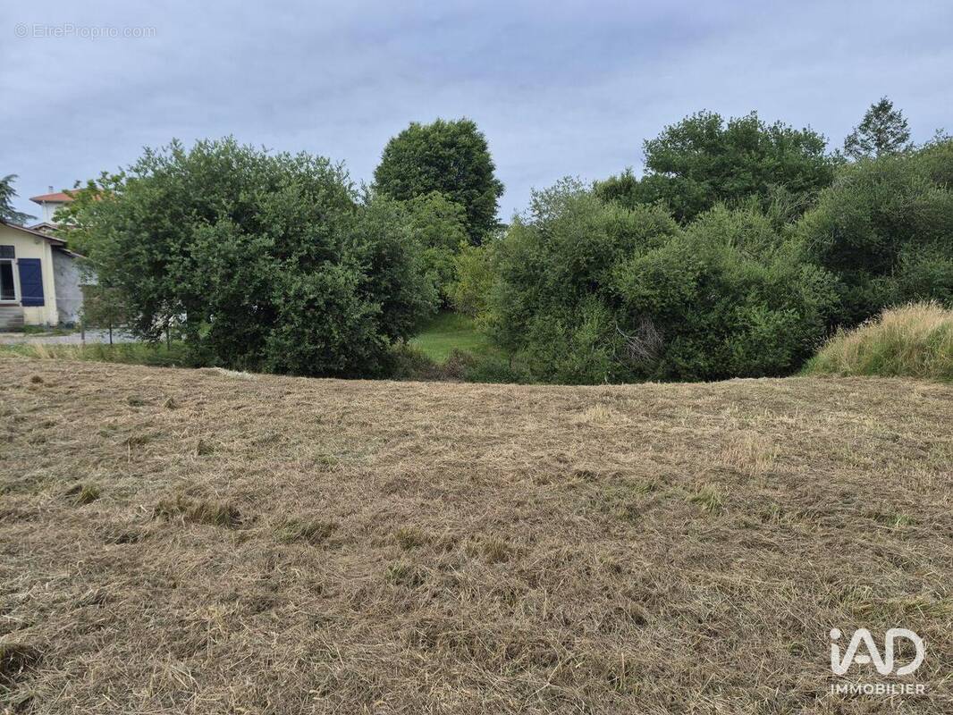 Photo 1 - Terrain à SAINT-ANDRE-DE-SEIGNANX