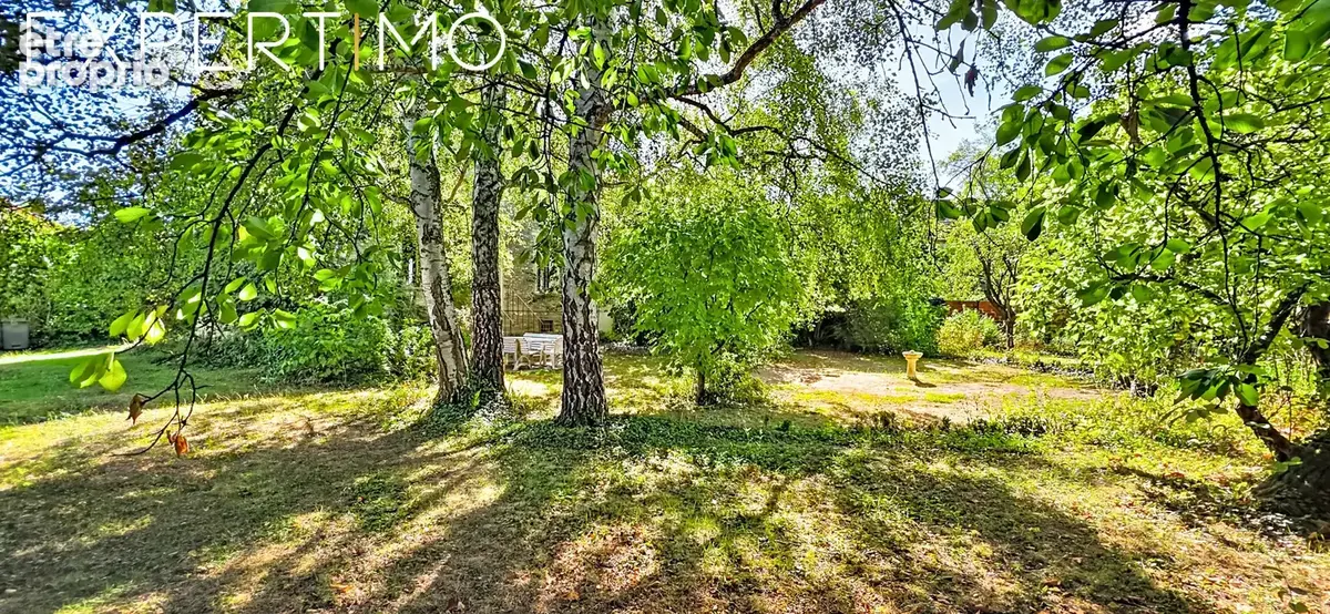 Maison familiale de caractère avec jardin clos - quartier saint-pierre - photo 19